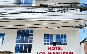 Hotel Los Magueyes